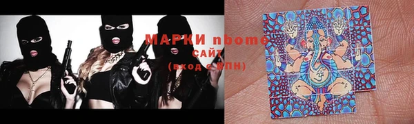 индика Алзамай