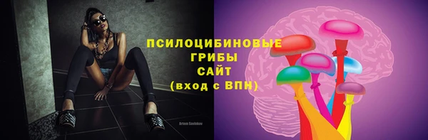 индика Алзамай