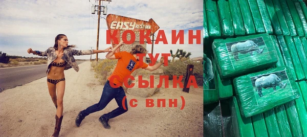 индика Алзамай