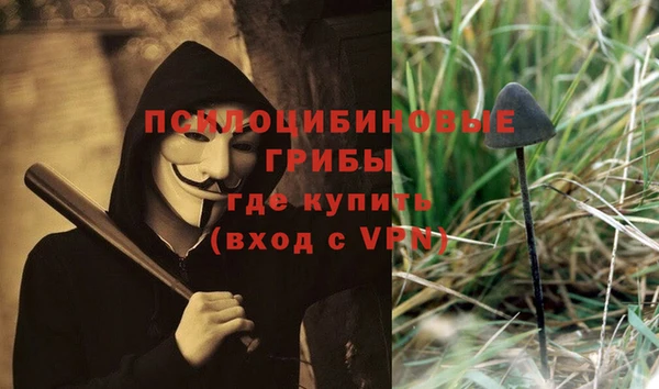 мескалин Алексин