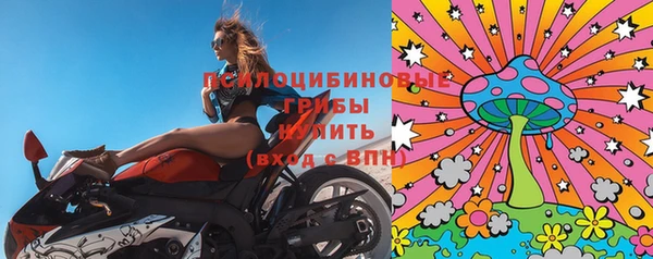 мескалин Алексин