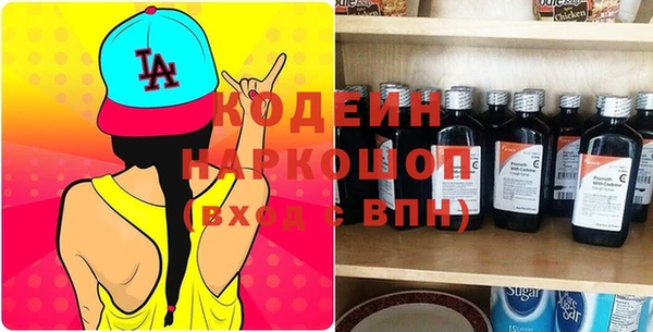 индика Алзамай