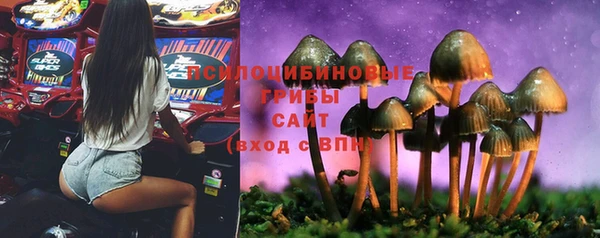 индика Алзамай