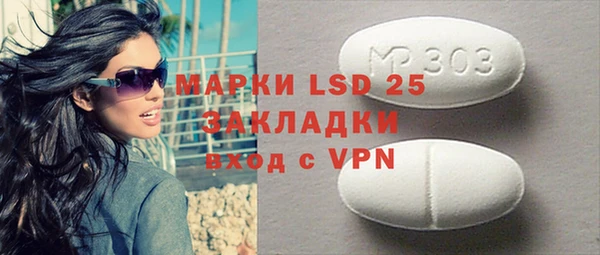 индика Алзамай